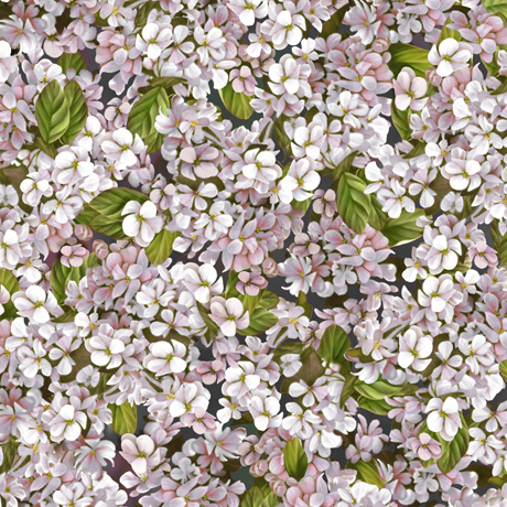 MINKY PRINTS             